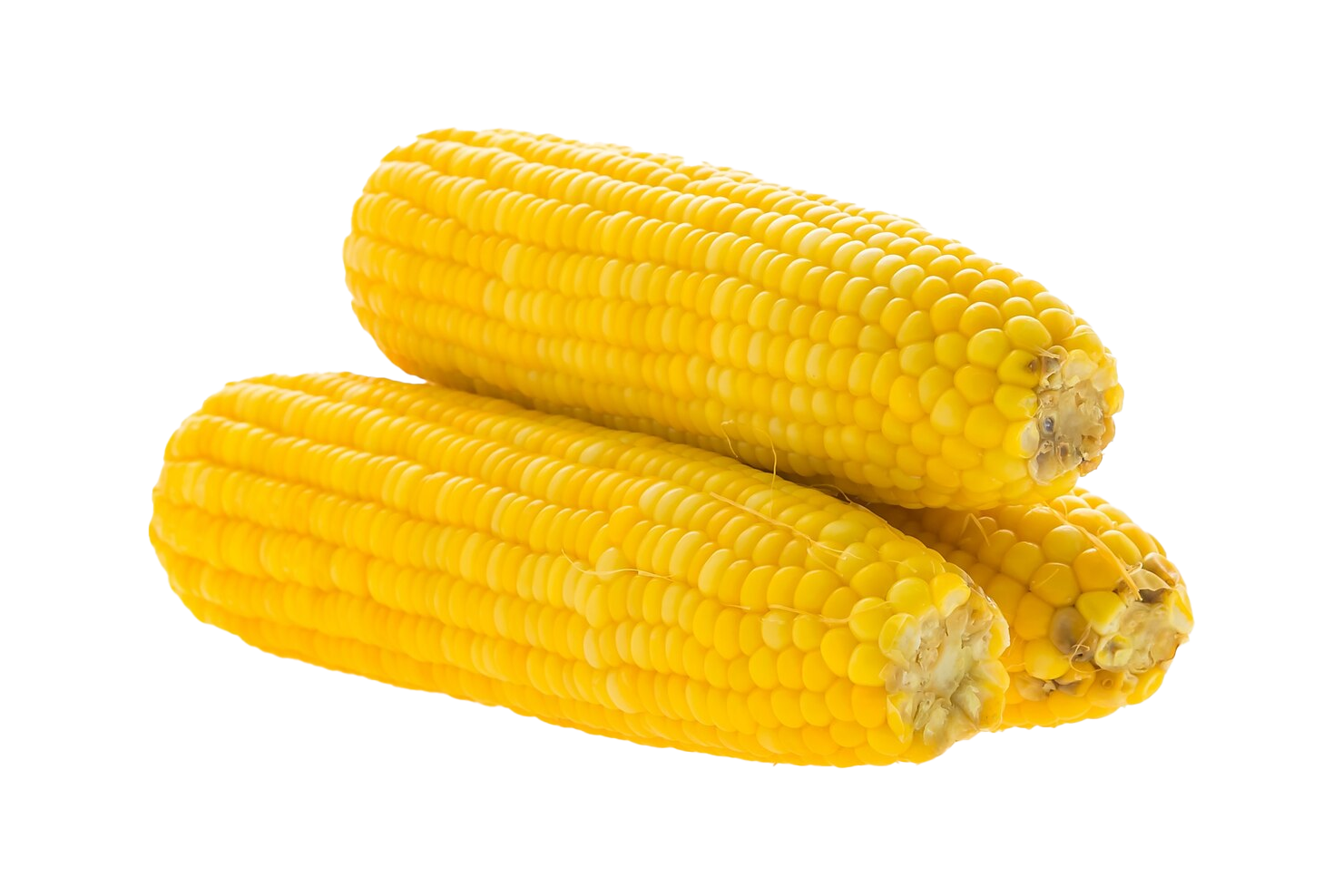 Corn